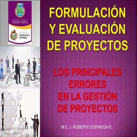 Errores en la gestion de proyectos | PDF