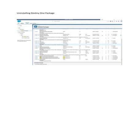 Erros while deleting Managed Package Destiny one.docx