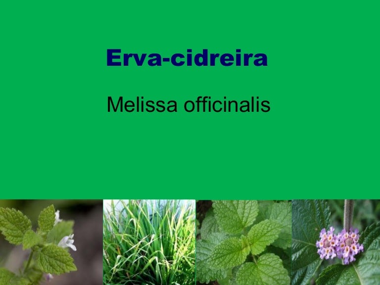 como fala erva cidreira em espanhol como fala erva cidreira em espanhol