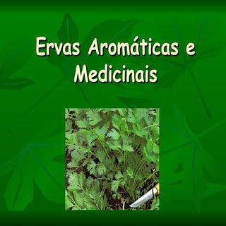 Ervas AromáTicas E Medicinais