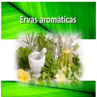 Ervas aromáticas 