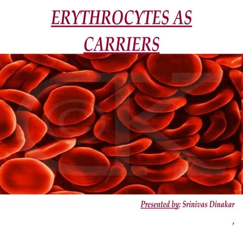 Erythrocytes2 090814024428-phpapp02