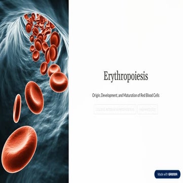 Hematopoiesis and Erythropoiesis | PDF