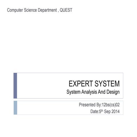 Expert System