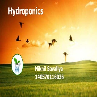 Hydroponics
