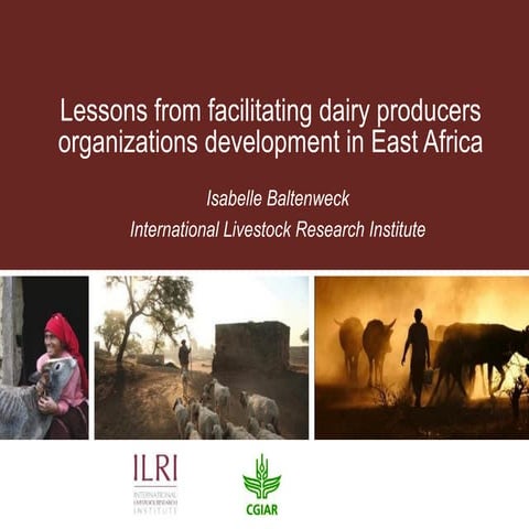 Lessons from facilitating dairy producers organizations development in East A...