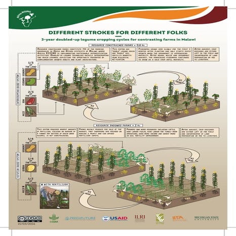 Progress on Malawi Soil Organic Carbon map | PPTX