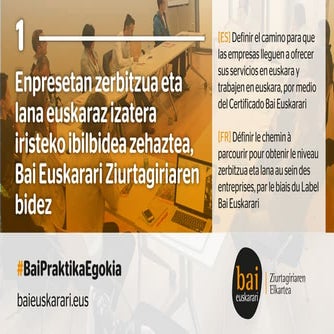 Manual de prácticas ejemplares en euskara / Une pratique adéquate et exemplai...