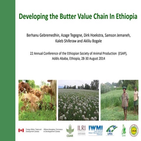 Developing the butter value chain in Ethiopia | PPTX
