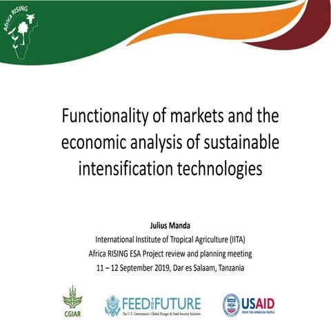 Functionality of markets and the economic analysis of sustainable intensifica...