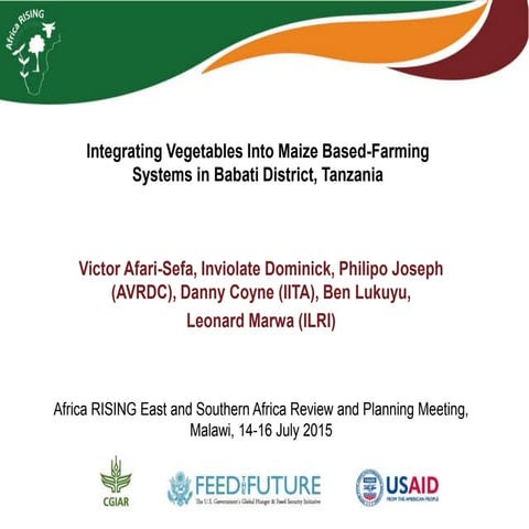 Integrating vegetables into maize based-farming systems in Babati District, T...