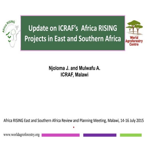 Update on ICRAF’s Africa RISING Projects in East and Southern Africa