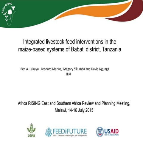 Integrated livestock feed interventions in the maize-based systems of Babati ...