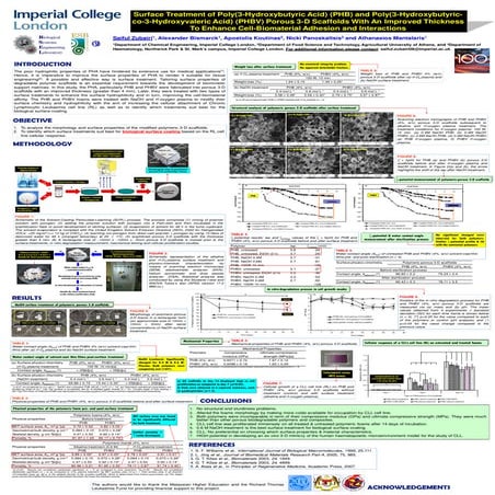 ESB 2011 - Dublin (Ireland) 01 sept 2011