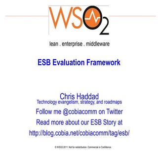 ESB Evaluation Framework