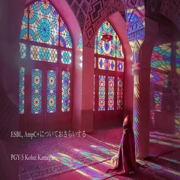 ESBL産生菌, AmpC過剰産生菌まとめ