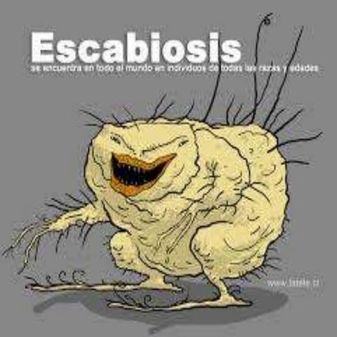 Escabiosis y Pediculosis