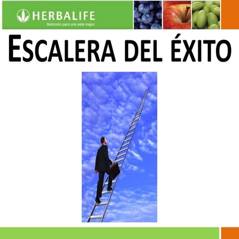 Escalera de exito