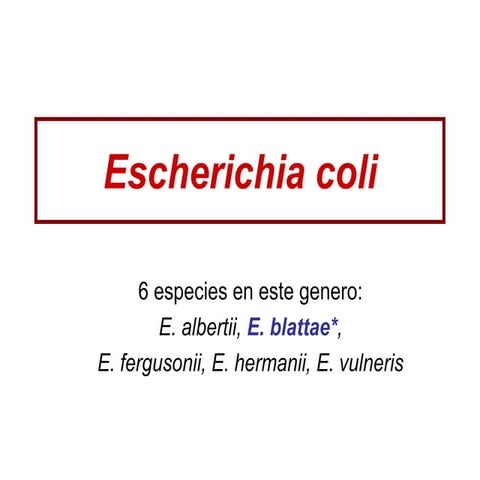 Escherichia coli