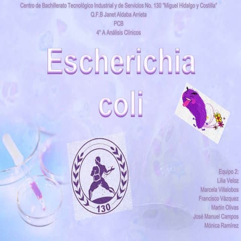 Escherichia coli