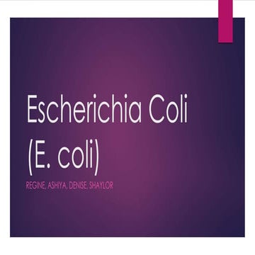 Escherichia coli
