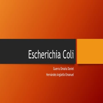 Escherichia coli