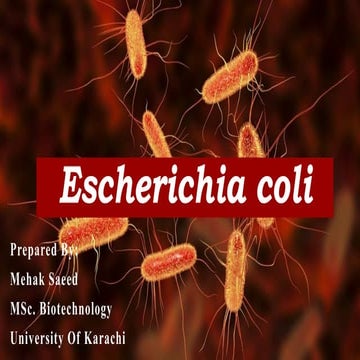 Escherichia coli