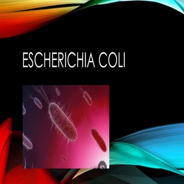 Escherichia Coli trabajo PowerPoint (Contenido) | PPTX