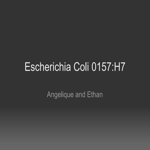 Escherichia Coli 0157 H7