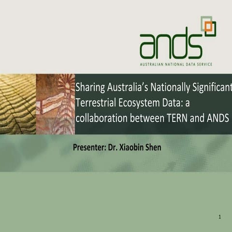 Xiaobin Shen eScience2013 presentation