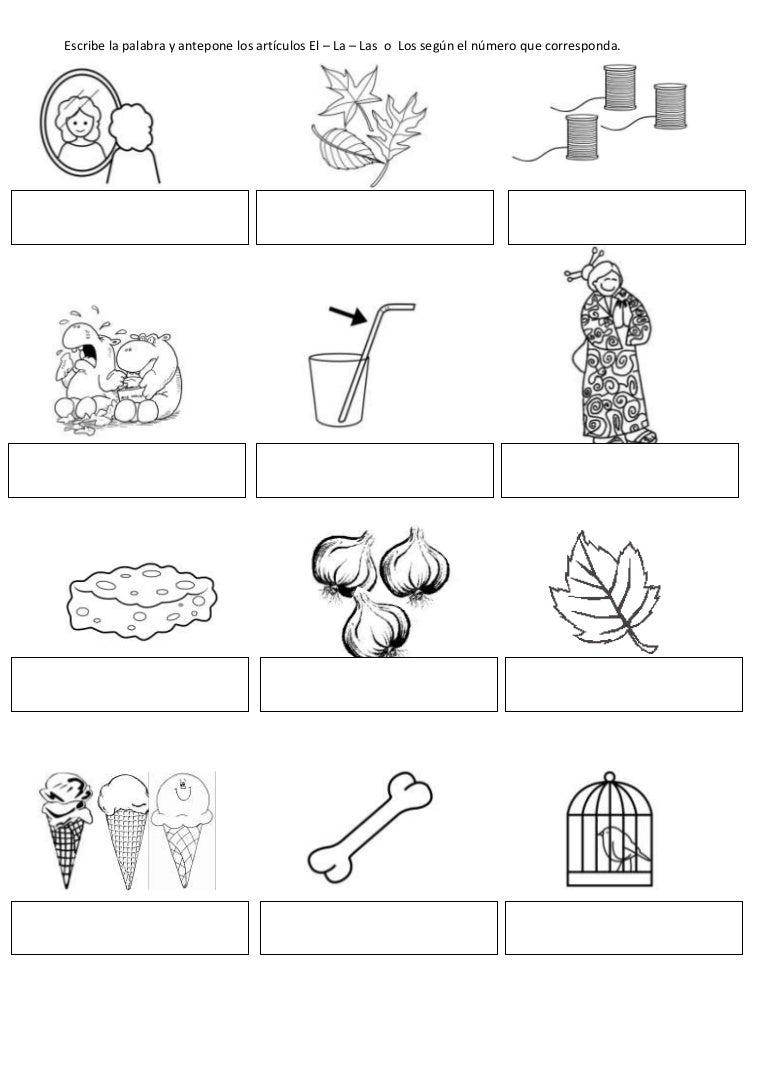 Escribe la palabra y antepone los artículos el