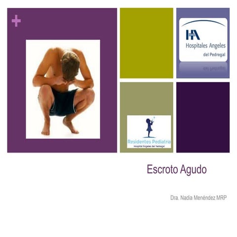 Escroto agudo por Nadia Menéndez Auld