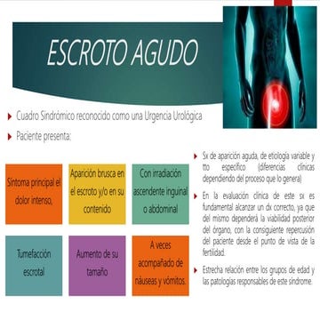 Escroto agudo