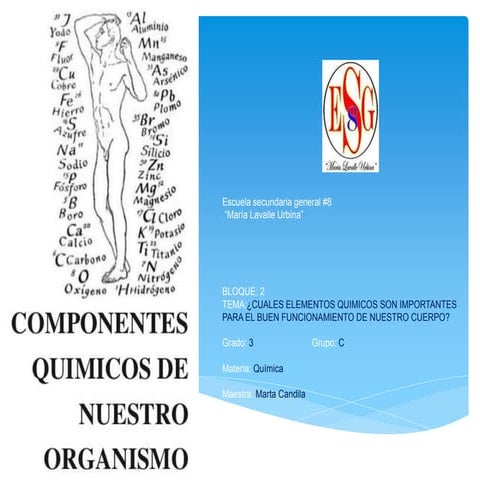 Los elementos químicos en el cuerpo humano | PPTX