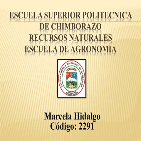 Escuela superior-politecnica-de-chimborazo