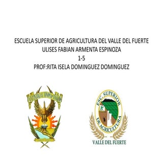 Escuela superior de agricultura del...