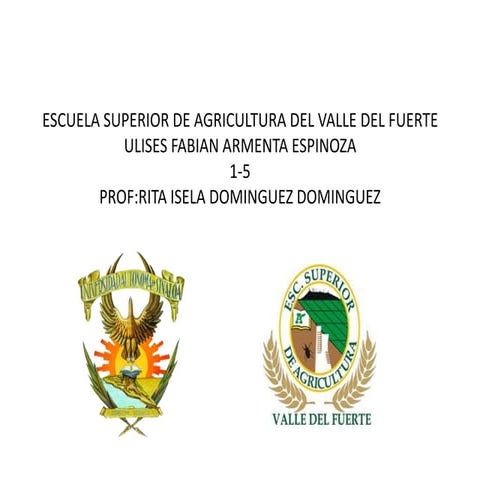 Escuela superior de agricultura del valle del fuerte
