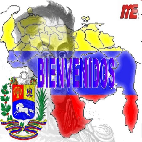 Escuelas Y Liceos Bolivarianos