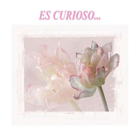 Es Curioso