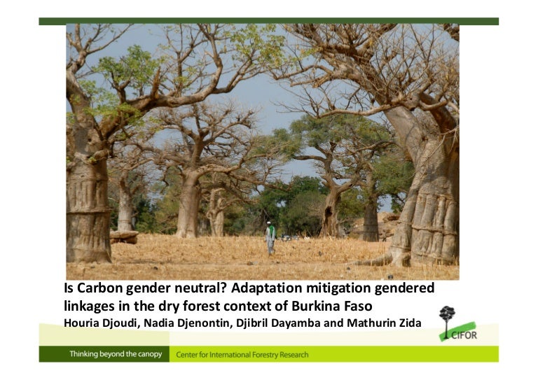 thumbnail of  Is Carbon gender neutral? Adaptation mitigation gendered linkages in the dry forest context of Burkina Faso