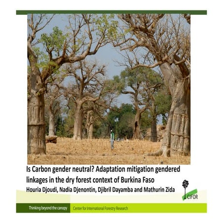 Is Carbon gender neutral? Adaptation mitigation gendered linkages in the dry ...