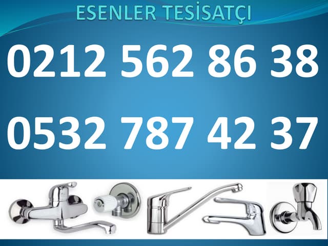 Inexpensive seafood recipes