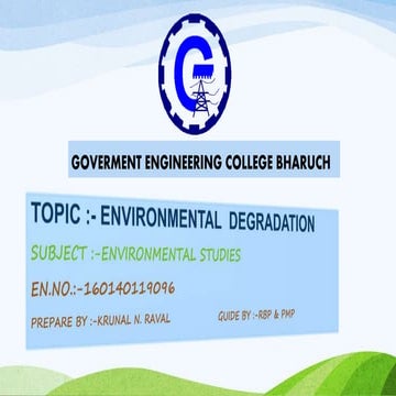 ENVIRONMENTAL  DEGRADATION