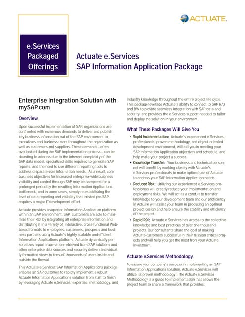Professional Services packaged solutions for SAP