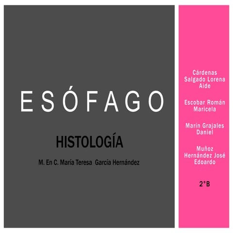 HISTOLOGÍA DEL ESÓFAGO