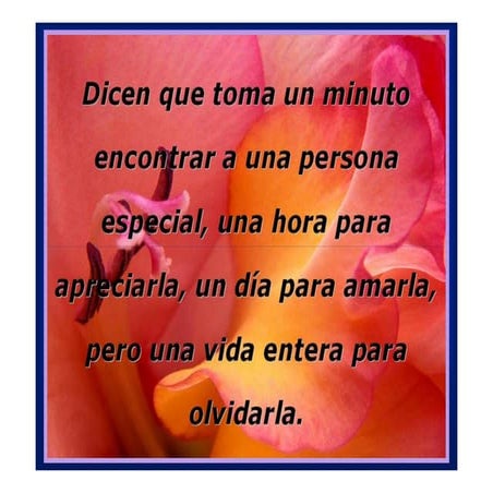 Esófago,estómago y plan del t. d.