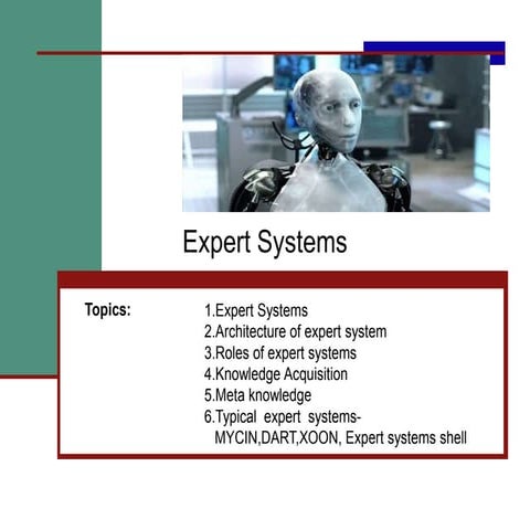 Expert System Full Details