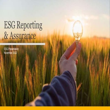ESG Assurance and Reporting The road to ESG Leadership
