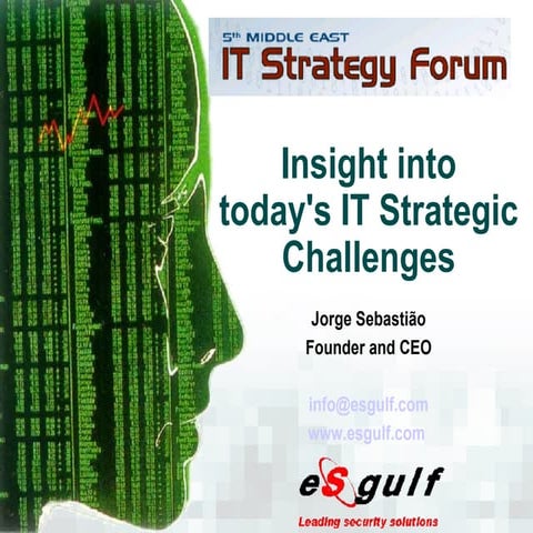 Insight into IT Strategic Challenges