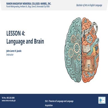 Language and Brain: Brain Lateralization and the Broca and Wernicke's ...